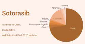 二線治療KRAS突變的NSCLC KRAS抑制劑Sotorasib聯(lián)合阿法替尼或有效