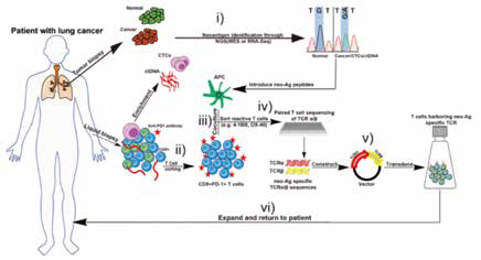 可手術(shù)NSCLC 圍手術(shù)期ctDNA分析可預測復發(fā)和生存