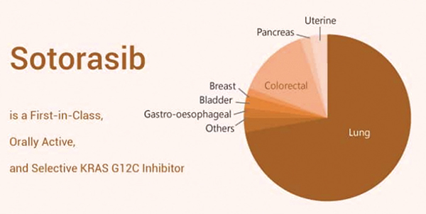 經(jīng)治的KRASG12C突變結(jié)直腸癌  KRASG12C蛋白抑制劑Sotorasib活性安全性初顯