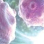 化療耐藥、微衛(wèi)星穩(wěn)定的mCRC 早期研究顯示三聯(lián)免疫治療有效