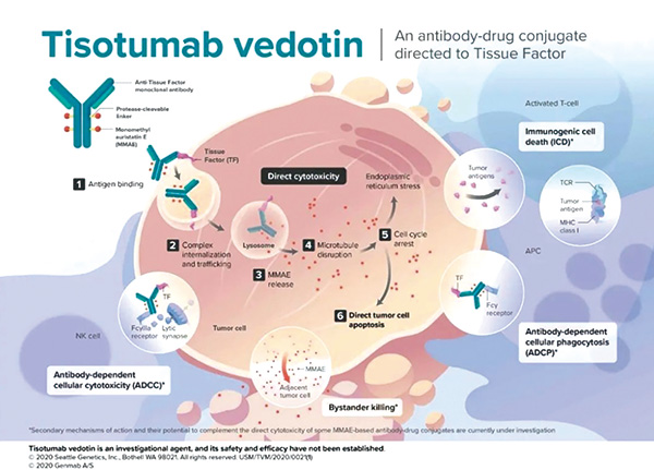 EGFR TKI失敗的NSCLC 聯(lián)用Teliso-V或?qū)-Met陽性患者有效