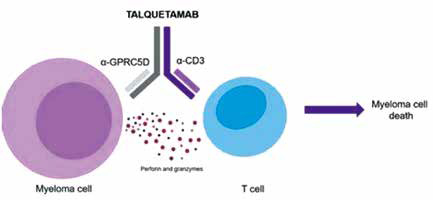 難治性多發(fā)性骨髓瘤 Talquetamab或帶來新希望