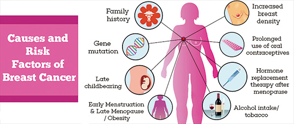 高危早期乳腺癌的最佳輔助化療研究