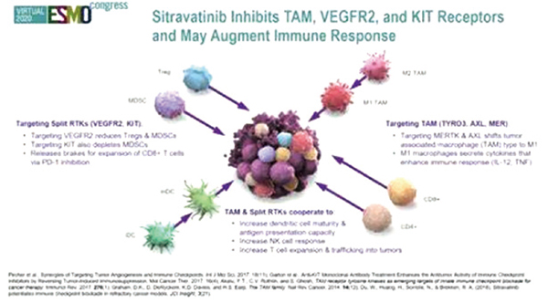 檢查點(diǎn)抑制劑失敗的非鱗狀NSCLC Sitravatinib聯(lián)合納武利尤單抗安全有效