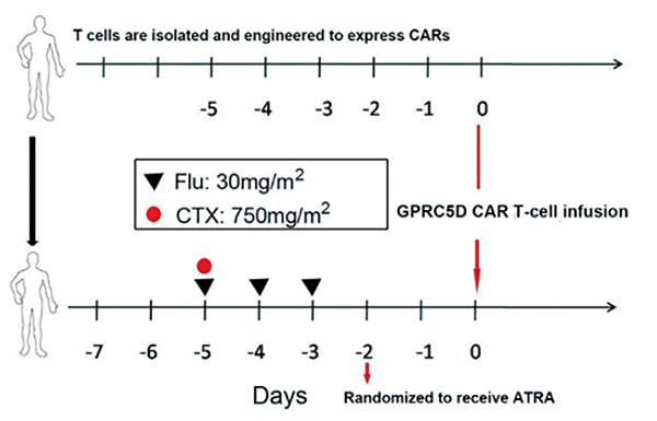 復發(fā)或難治性MM 抗GPRC5D CAR T細胞或安全有效