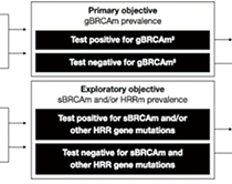 HR+/HER2-轉(zhuǎn)移性乳腺癌 gBRCAm狀態(tài)與一線治療后OS和PFS較短相關(guān)