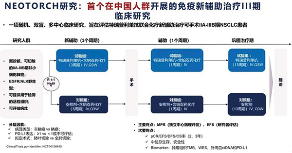 Ⅲ期肺癌的圍手術(shù)期化療 聯(lián)用特瑞普利單抗顯著延長(zhǎng)EFS