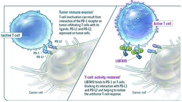 一線治療晚期NSCLC Cemiplimab單藥顯著優(yōu)于聯(lián)合化療