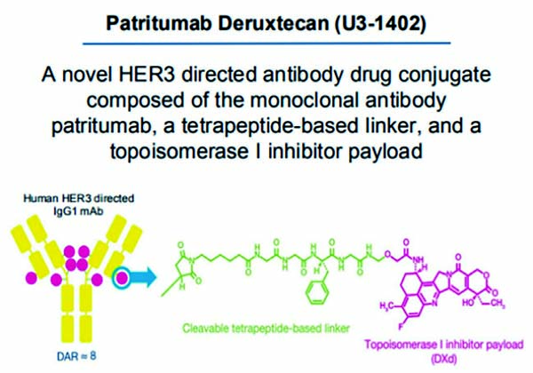 EGFR突變的NSCLC 后線HER3-DXd每3周一次方案安全有效