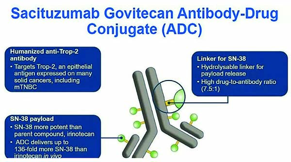 內(nèi)分泌抵抗性HR+和HER2-轉(zhuǎn)移性乳腺癌 Sacituzumab govitecan或?yàn)樾碌闹委熯x擇