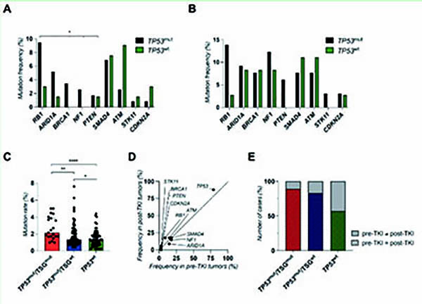 奧希替尼一線或二線治療NSCLC 攜帶TP53突變/TSG突變者預(yù)后更差