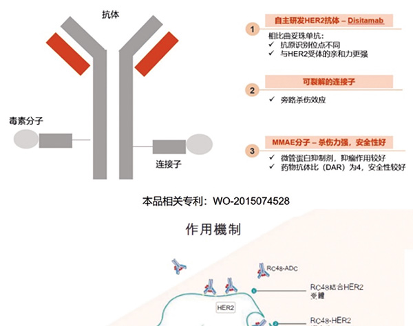 HER2陽性、局部晚期或轉(zhuǎn)移性UC 后線應(yīng)用Disitamab vedotin或安全有效