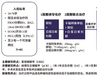 局部晚期宮頸癌 國(guó)人新輔助化學(xué)免疫治療研究正式發(fā)表