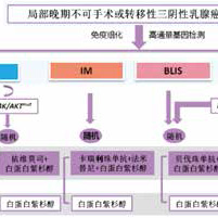 三陰性乳腺癌 復(fù)旦分型指導(dǎo)精準(zhǔn)一線治療研究發(fā)表