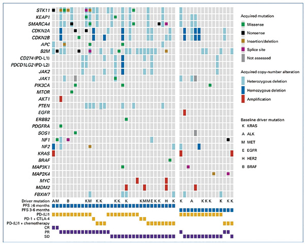 抗PD-（L）1治療NSCLC 獲得性耐藥的基因組和免疫表型特征均不同