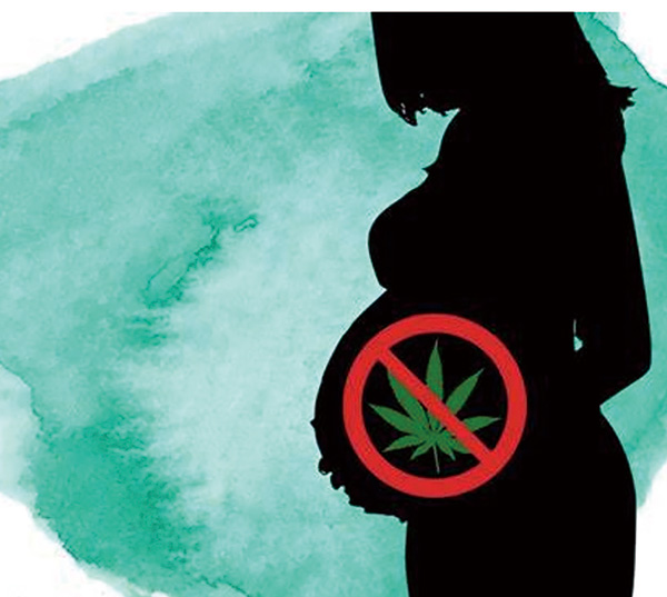 孕期使用大麻或增加后代中樞神經(jīng)系統(tǒng)癌癥風(fēng)險 