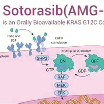 晚期NSCLC 治療前KRAS G12C ctDNA提示Sotorasib治療者預(yù)后不良