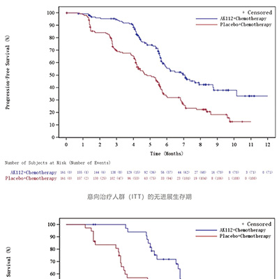 EGFR-TKI治療失敗的NSCLC 聯(lián)合依沃西單抗對比單用化療顯著改善PFS