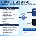 SPOTLIGHT研究總生存結(jié)果會(huì)上公布
