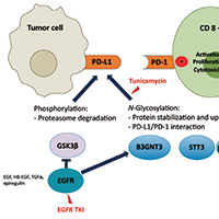 晚期NSCLC PD-1/PD-L1個體化優(yōu)化組合方案或更有效