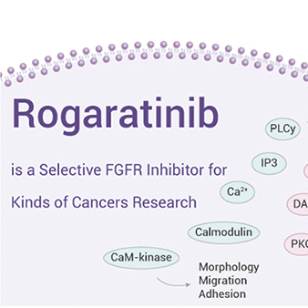 FGFR mRNA過(guò)表達(dá)局部晚期/轉(zhuǎn)移性UC rogaratinib聯(lián)合阿替利珠單抗安全有效