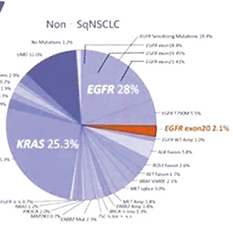 EGFR ex20ins突變的、局部晚期/轉(zhuǎn)移性NSCLC 一線應(yīng)用mobocertinib不優(yōu)于含鉑化療