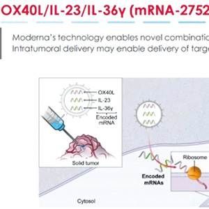 高危導(dǎo)管原位癌 瘤內(nèi)注射mRNA-2752和帕博利珠單抗安全