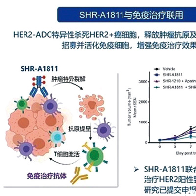 經治的HER2突變肺癌 trastuzumab rezetecan獲得73%的緩解率