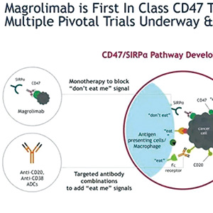 TP53突變的AML 一線應(yīng)用magrolimab聯(lián)合阿扎胞苷不改善OS