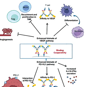 PD-L1陽性的、晚期NSCLC 一線應(yīng)用依沃西單抗或為另一選擇