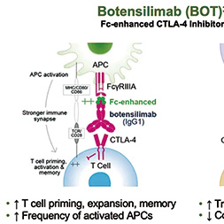 難治性HCC Botensilimab聯(lián)合Balstilimab治療可誘導(dǎo)持久緩解